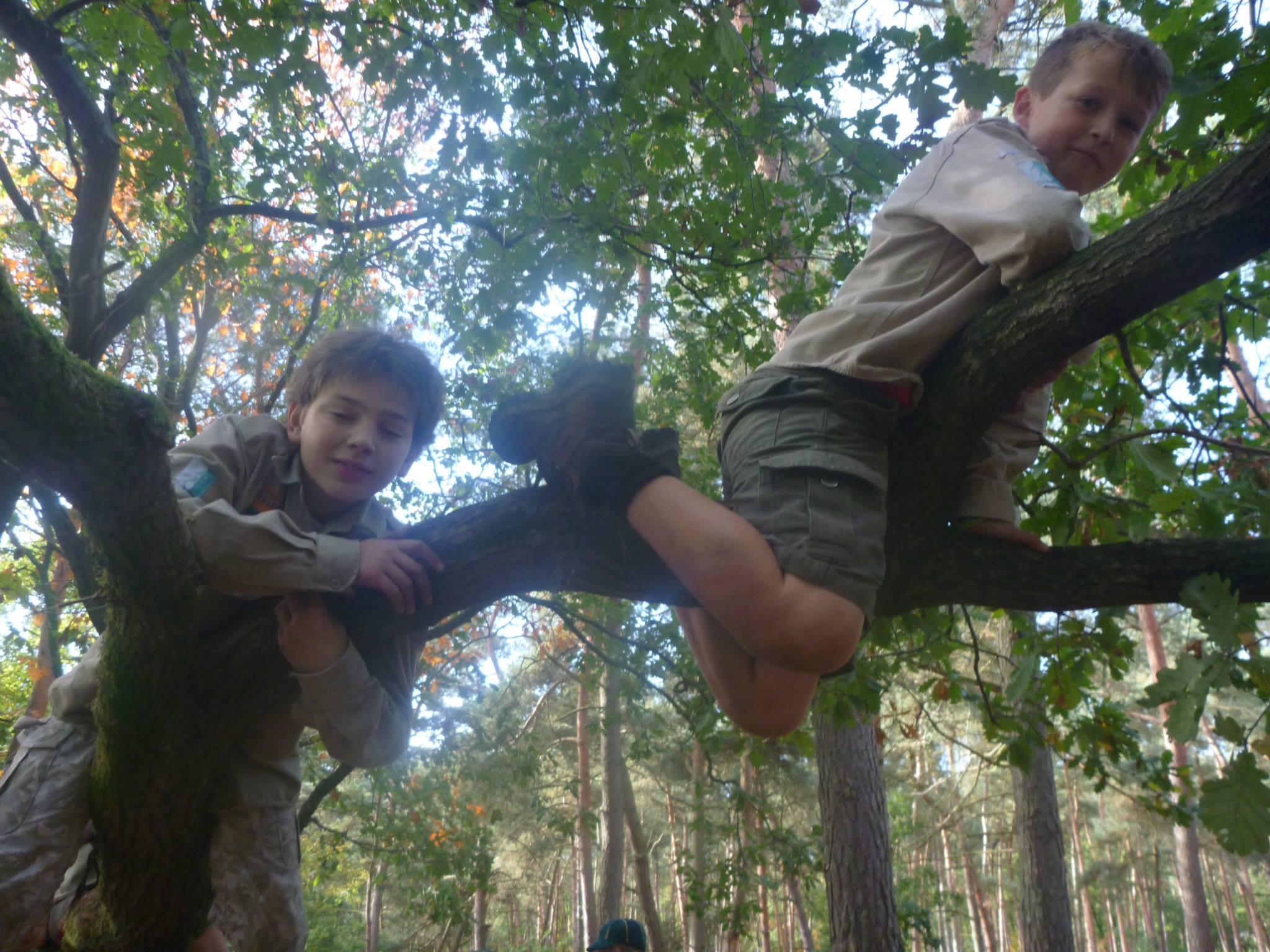 Sint-Martinus den XIIde - Weekend Welpen Kiewit '14